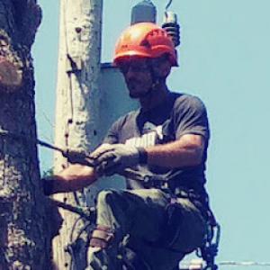 Humbolt Tree Service