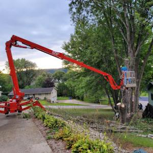 Exceed Tree Service