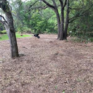 E&Y Lawn Services & More