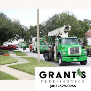 Grant's Tree Service