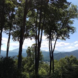 Clear View Tree Services