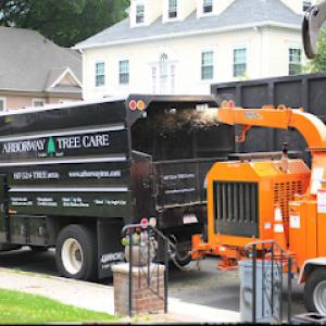 Arborway Tree Care