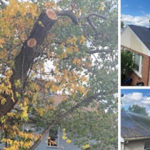 Cabral Tree & Construction