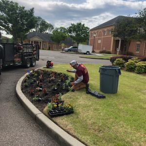 Murillo lawns & landscaping