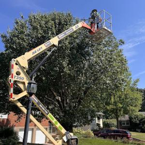 Hunter Tree Service
