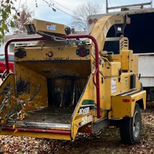 Busy Bees Tree Service