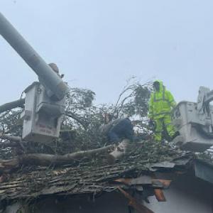 Cut Right Tree Service