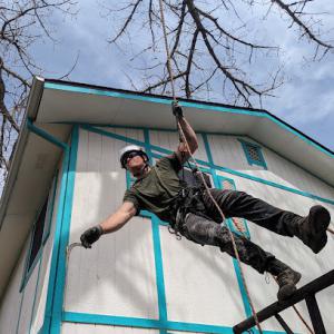 Geckos Lawn & Tree Care