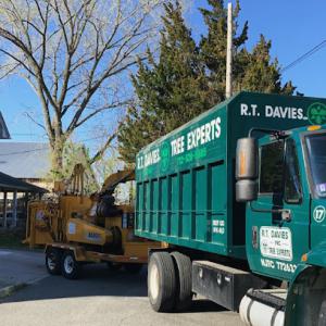 R.T. Davies Inc. Tree Experts