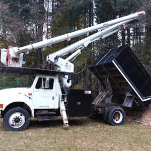 Taylor Tree & Stump Removal