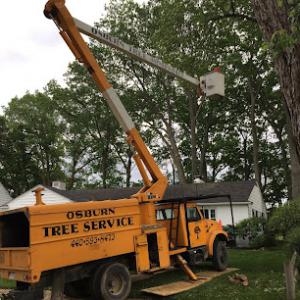 Roesch Tree Service