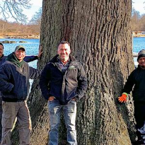 Gedney Tree Care