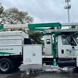 Benitez Tree Services