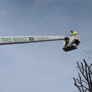 Diamond Tree Service