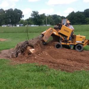 Waylon’s Stump Removal