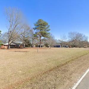 Davis Stump Grinding