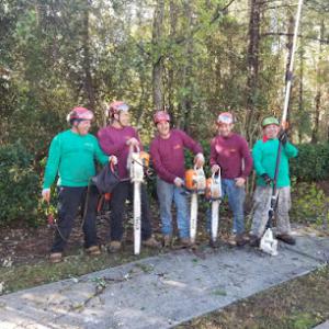 Tree Service -N- More