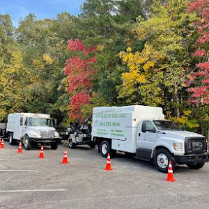 Restoration Tree Care