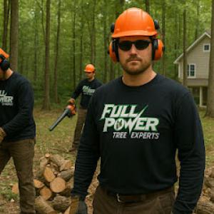 Full Power Tree Experts - Tree Removal