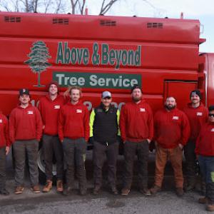 ABOVE & BEYOND - Tree Service