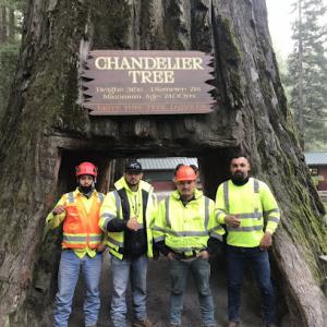 Valdovinos Tree Services