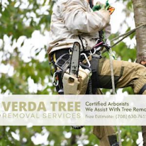 Verda Tree Removal Services