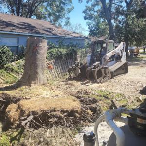 JRB Tree Service & Stump Grinding