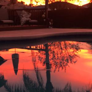 High View Tree Service