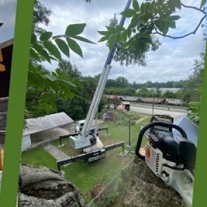 Infinity Tree Service