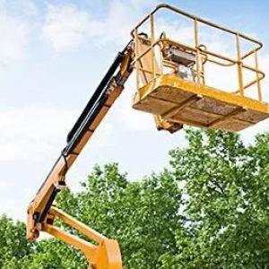 Lenny Dozier Tree Services