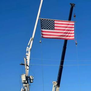 Apex Solutionz Tree Service