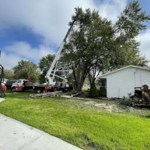 Enterprise Tree Service