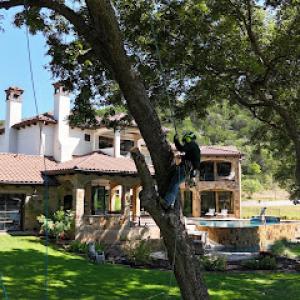 Greenstar Tree & Land Services