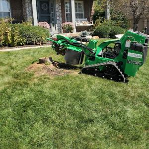 MTZ Stump Grinding