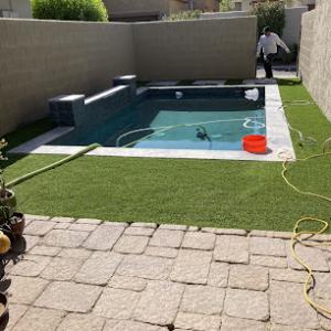 Yahweh Tree & Landscape