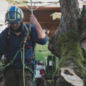 Seattle Tree Professionals