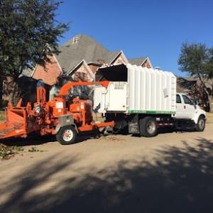 Amazing Tree Care