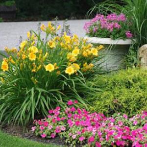 Southern Gardens Lawn & Landscape