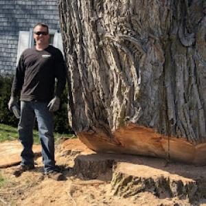 Stumpbusters of Central New York