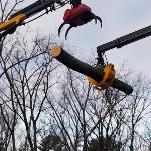 Clear Choice Tree Service