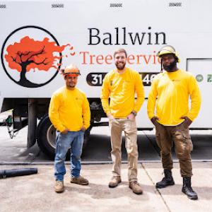 Ballwin Tree Service