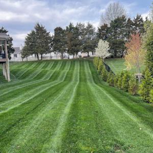 The Grounds Guys of St. Peters, MO