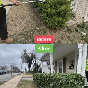 Coreas Tree Services