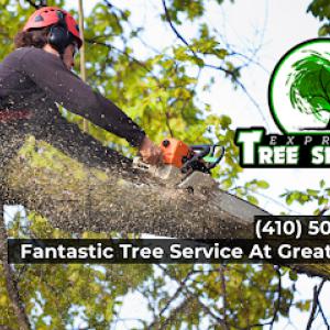 Express Tree Service
