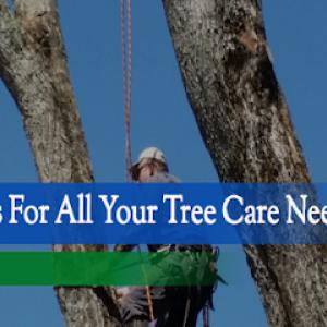 Bluewater Tree Service