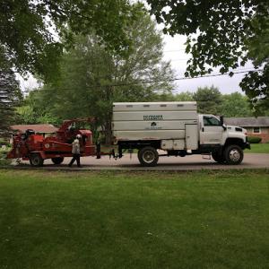 Haymaker Tree & Lawn