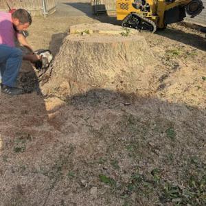 Elite Bartlesville Tree Services
