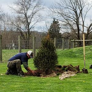 Summitville landscaping