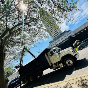 Borskey Tree Service