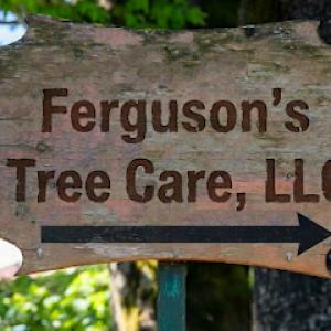 Ferguson's Tree Care, LLC - Tree Removal & Arborist Baton Rouge